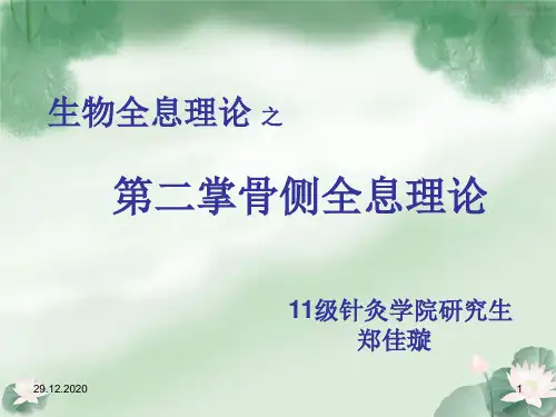掌骨全息理论PPT课件