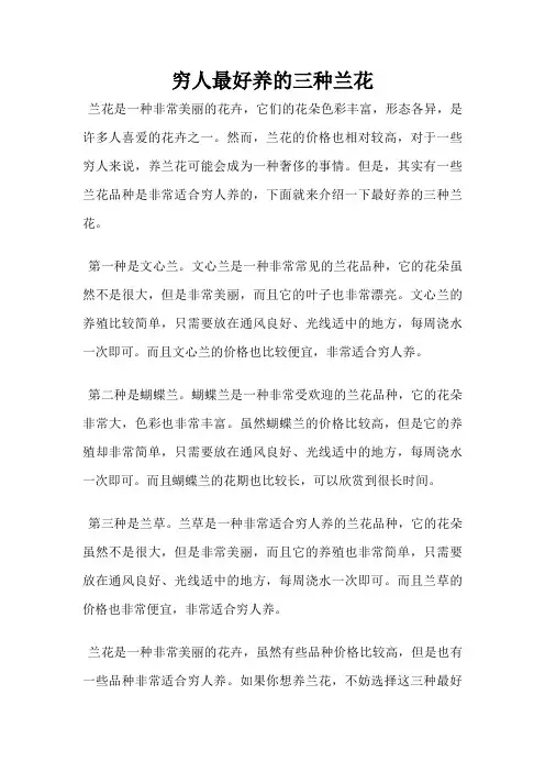 穷人最好养的三种兰花