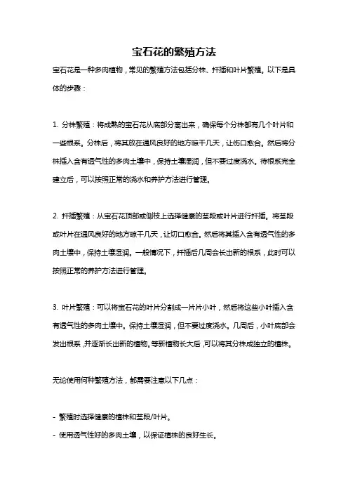 宝石花的繁殖方法