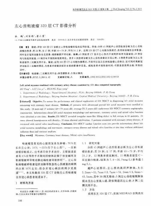左心房粘液瘤320层CT影像分析