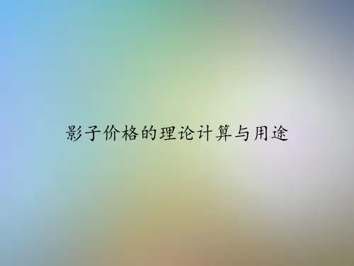 影子价格的理论计算与用途