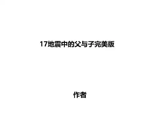 17地震中的父与子完美版