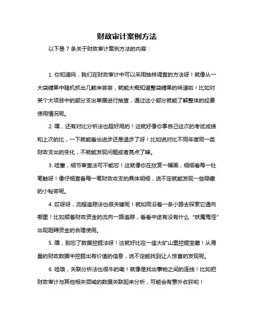 财政审计案例方法