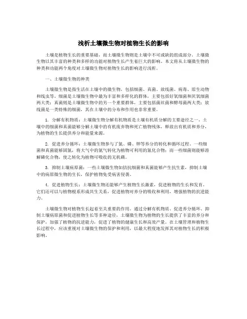 浅析土壤微生物对植物生长的影响