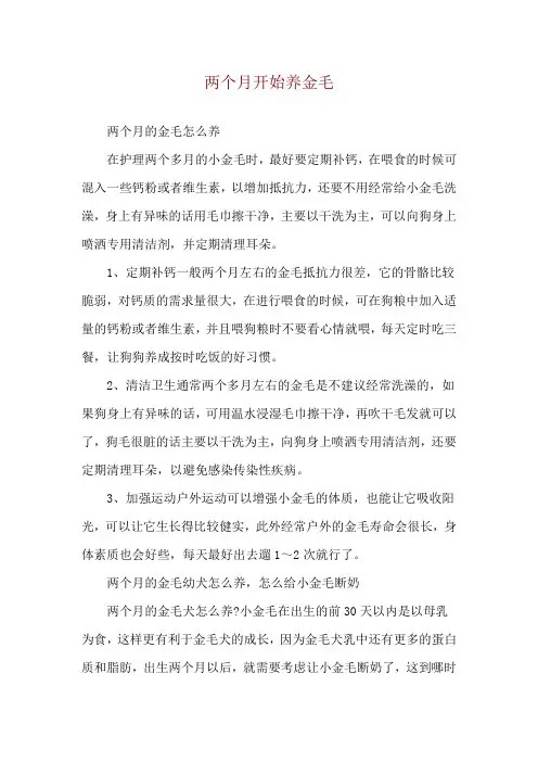 两个月开始养金毛