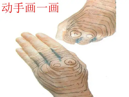 人教版高中地理必修1第四章第二节山地的形成(共29张PPT)