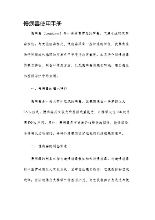 慢病毒使用手册