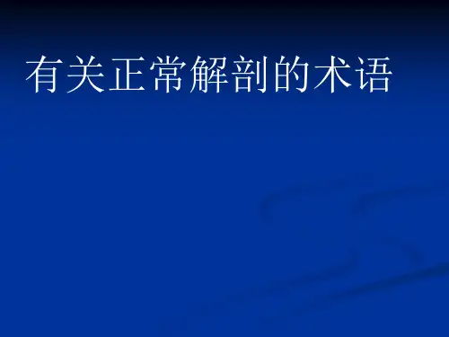 胸部CT影像征象图解1