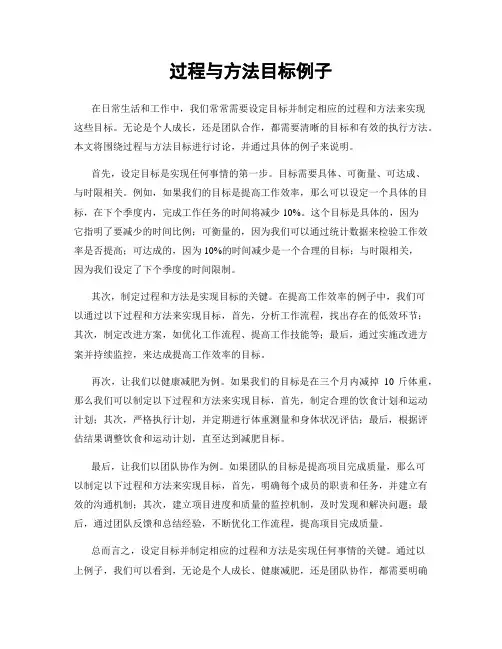 过程与方法目标例子