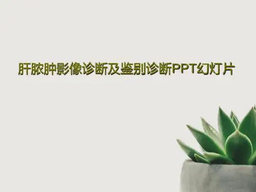 肝脓肿影像诊断及鉴别诊断PPT幻灯片共52页