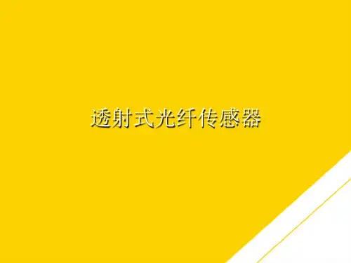 透射式光纤传感器(最全版)PTT文档