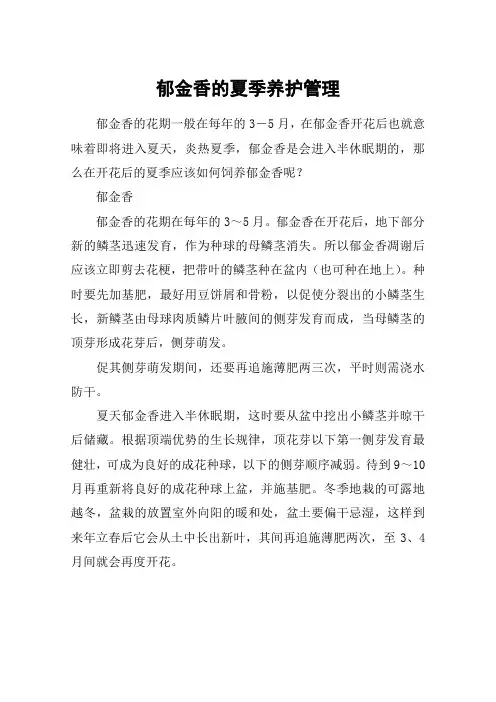 郁金香的夏季养护管理