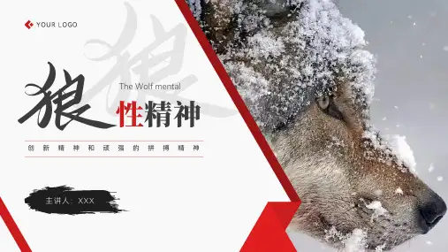 红色狼性文化创新精神狼性精神培训PPT模板