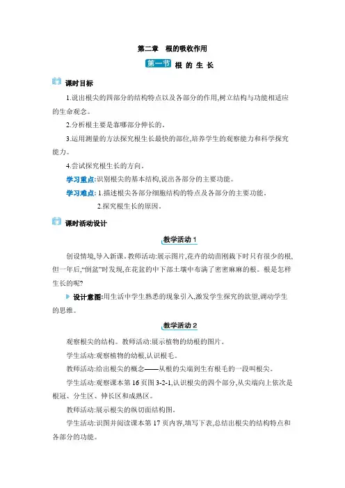 2024年冀少版八年级生物上册教学第三单元 植物的生活第二章 根的吸收作用第一节 根的生长