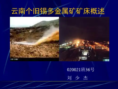 云南个旧锡多金属矿矿床概述