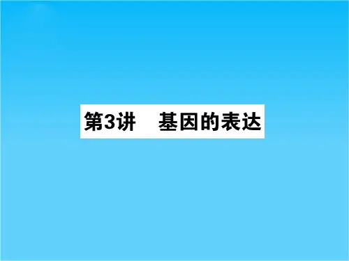 高考生物一轮复习 3.3基因的表达课件 新人教版必修2