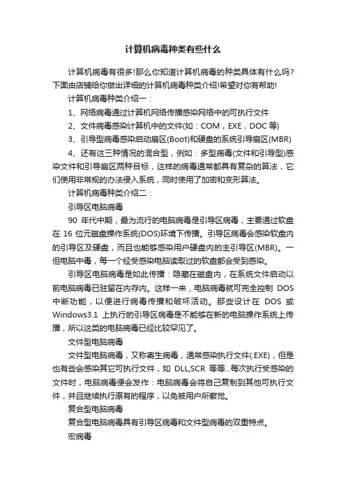 计算机病毒种类有些什么