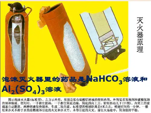 苏教化学选修 化学反应原理专题3 第三单元盐 类 的 水 解(共19张PPT)_3优秀课件