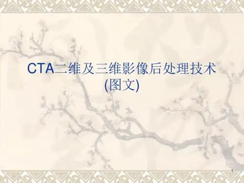 CT常用图像后处理ppt课件