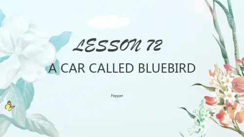 新概念英语第二册课件Lesson72