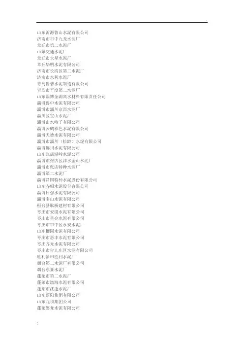 山东省水泥企业
