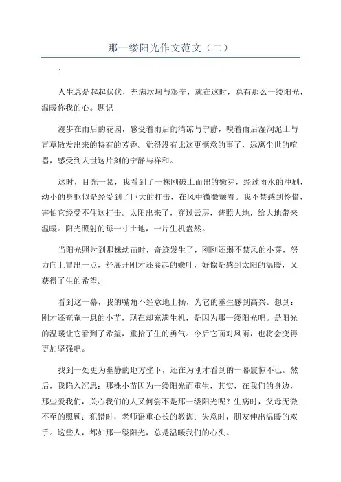 那一缕阳光作文范文(二)