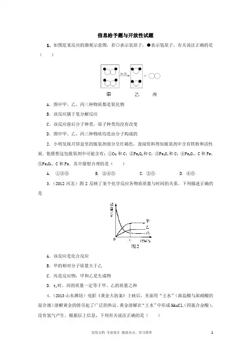 中考化学专题训练：信息给予题与开放性试题(含2013试题,含详解)