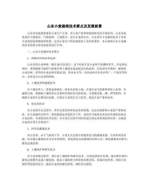 山东小麦栽培技术要点及发展前景