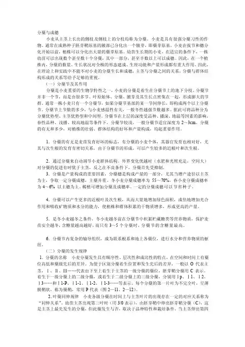分蘖的生物学意义[详解]