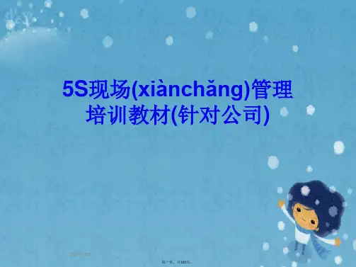 5S现场管理培训教材(针对公司)