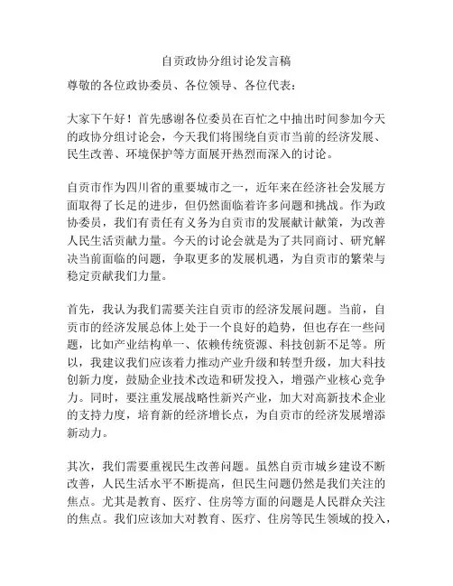 自贡政协分组讨论发言稿