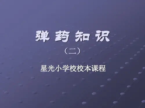 弹 药 知 识2