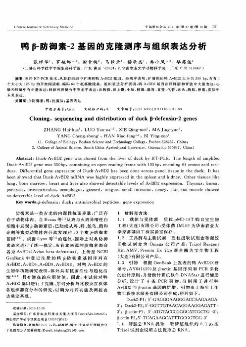 鸭β-防御素-2基因的克隆测序与组织表达分析