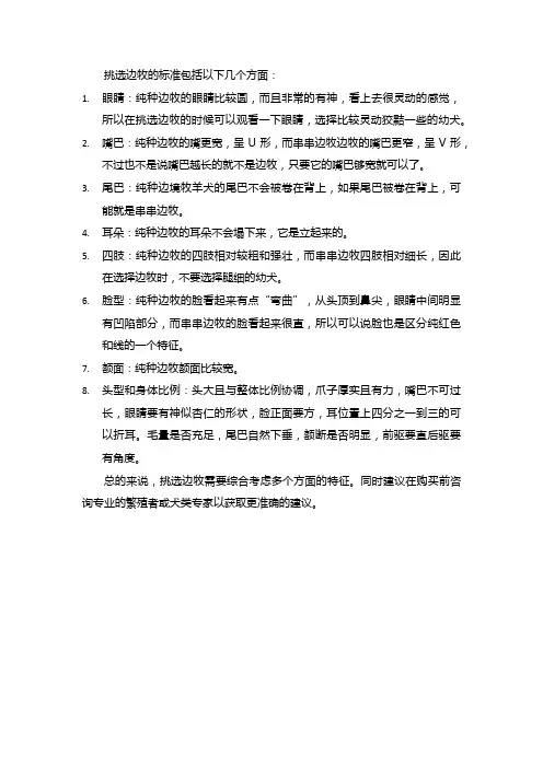 挑选边牧的标准