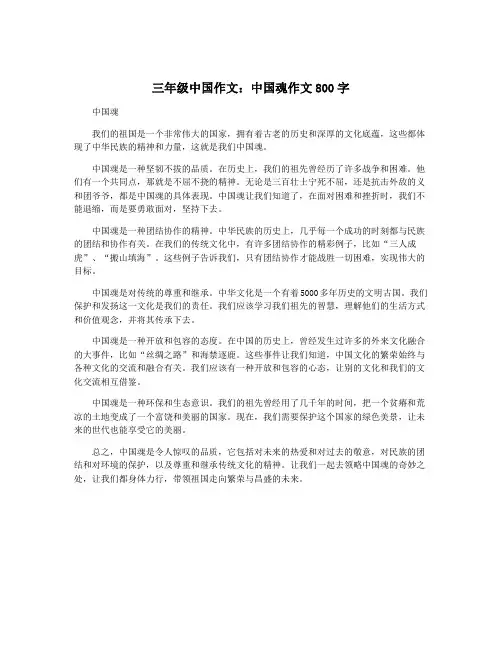 三年级中国作文：中国魂作文800字