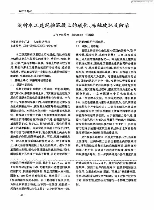 浅析水工建筑物混凝土的碳化、冻融破坏及防治