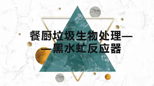 厨余垃圾生物处理——黑水虻