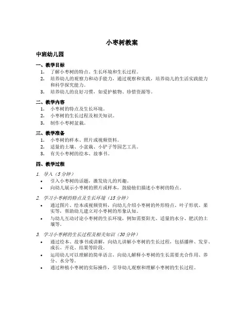 小枣树教案中班幼儿园
