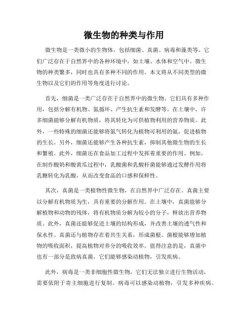 微生物的种类与作用