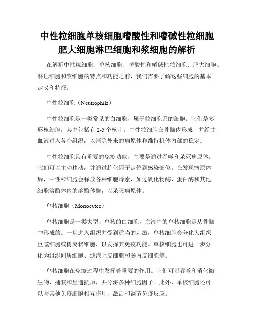 中性粒细胞单核细胞嗜酸性和嗜碱性粒细胞肥大细胞淋巴细胞和浆细胞的解析