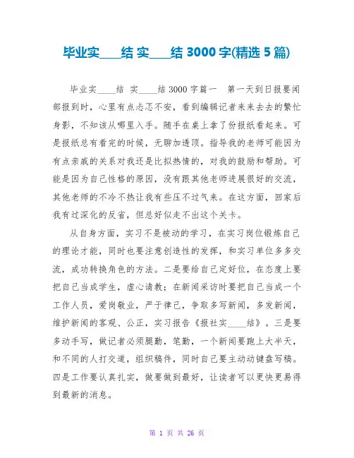 实习总结3000字(5篇)