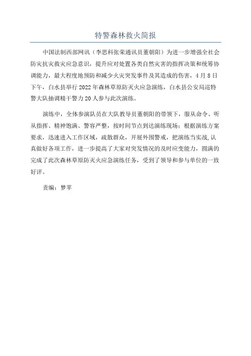 特警森林救火简报