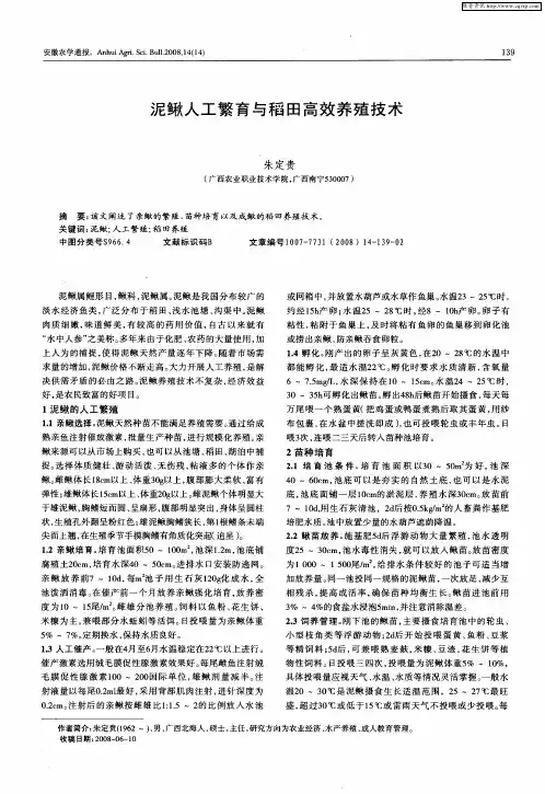 泥鳅人工繁育与稻田高效养殖技术