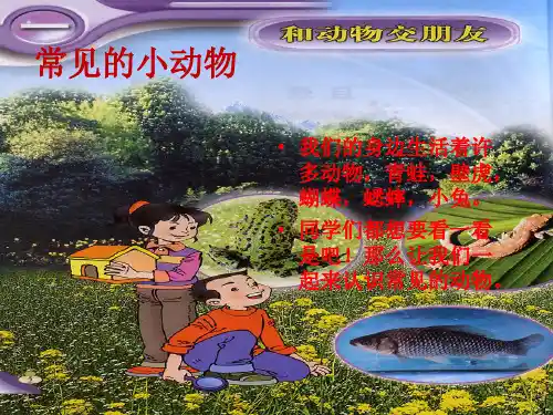 1常见的小动物