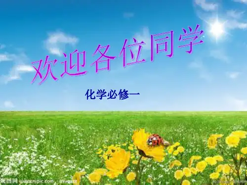 人教版化学必修一化学实验基本方法PPT(124页)
