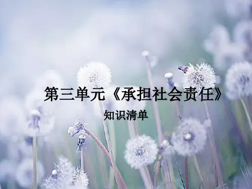 承担社会责任中小学PPT教学课件