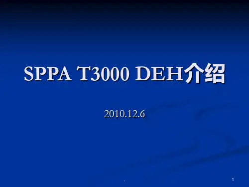 DEH逻辑介绍PPT课件