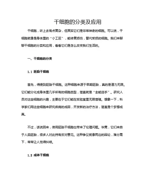 干细胞的分类及应用