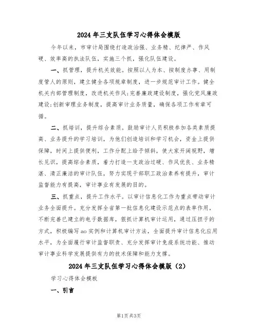 2024年三支队伍学习心得体会模版(2篇)