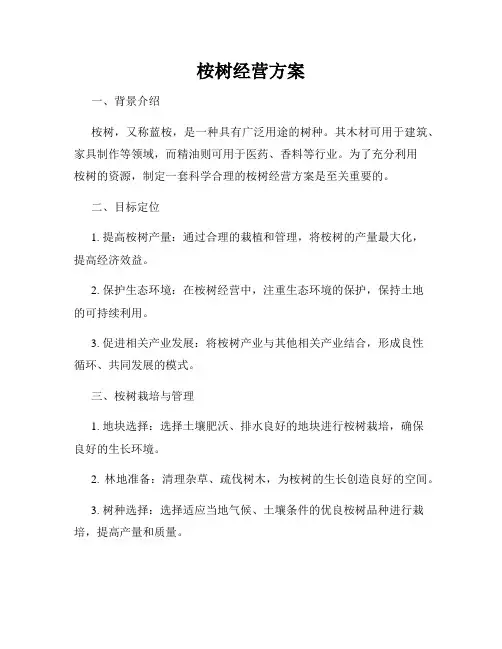 桉树经营方案